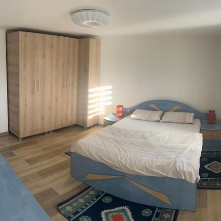 Vila Exclusive Targu Jiu Exterior photo