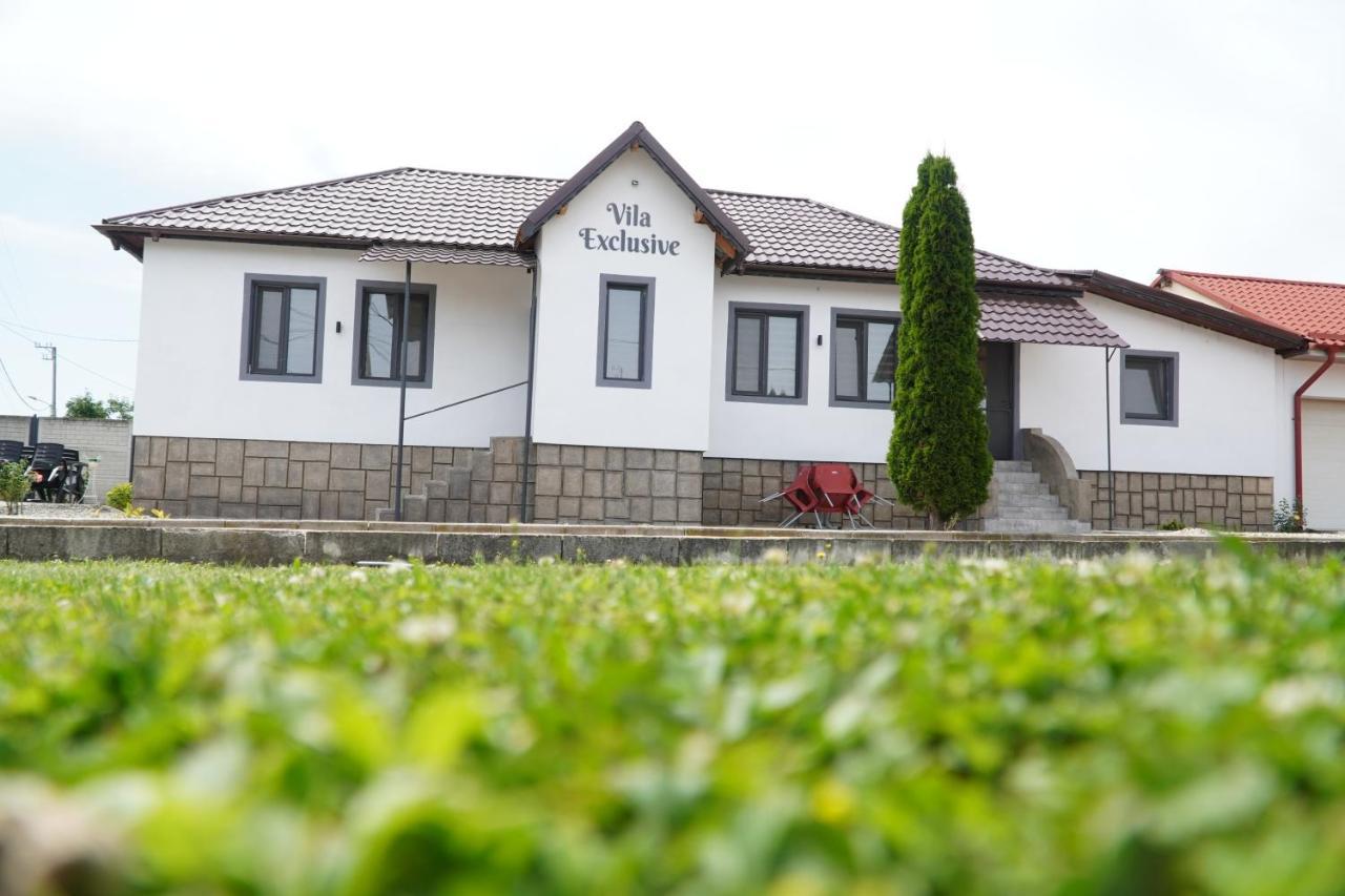 Vila Exclusive Targu Jiu Exterior photo
