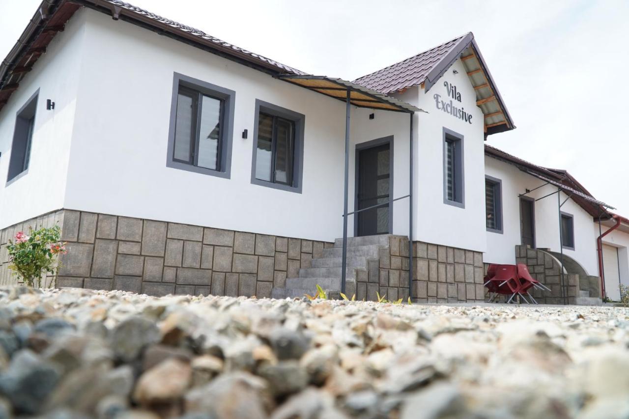 Vila Exclusive Targu Jiu Exterior photo